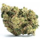 pinapple-kush_1240729227