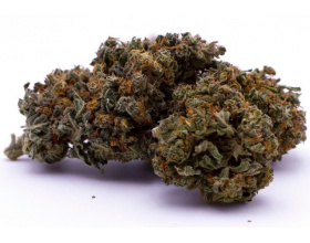 colombien3_861568078